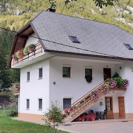 Apartma Pod Rozem Soča Екстериор снимка