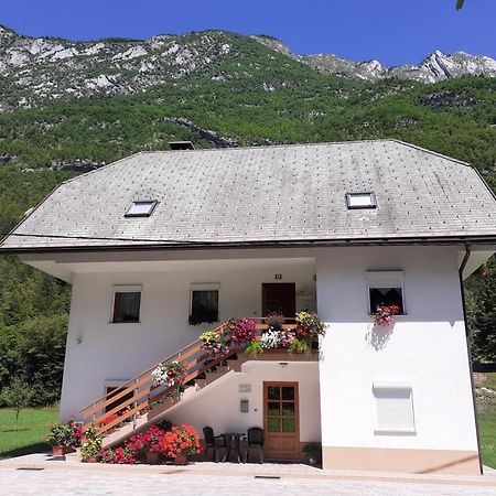 Apartma Pod Rozem Soča Екстериор снимка