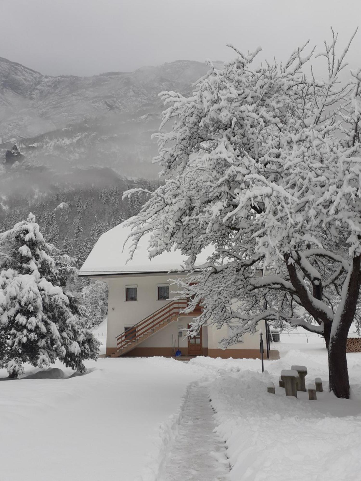 Apartma Pod Rozem Soča Екстериор снимка