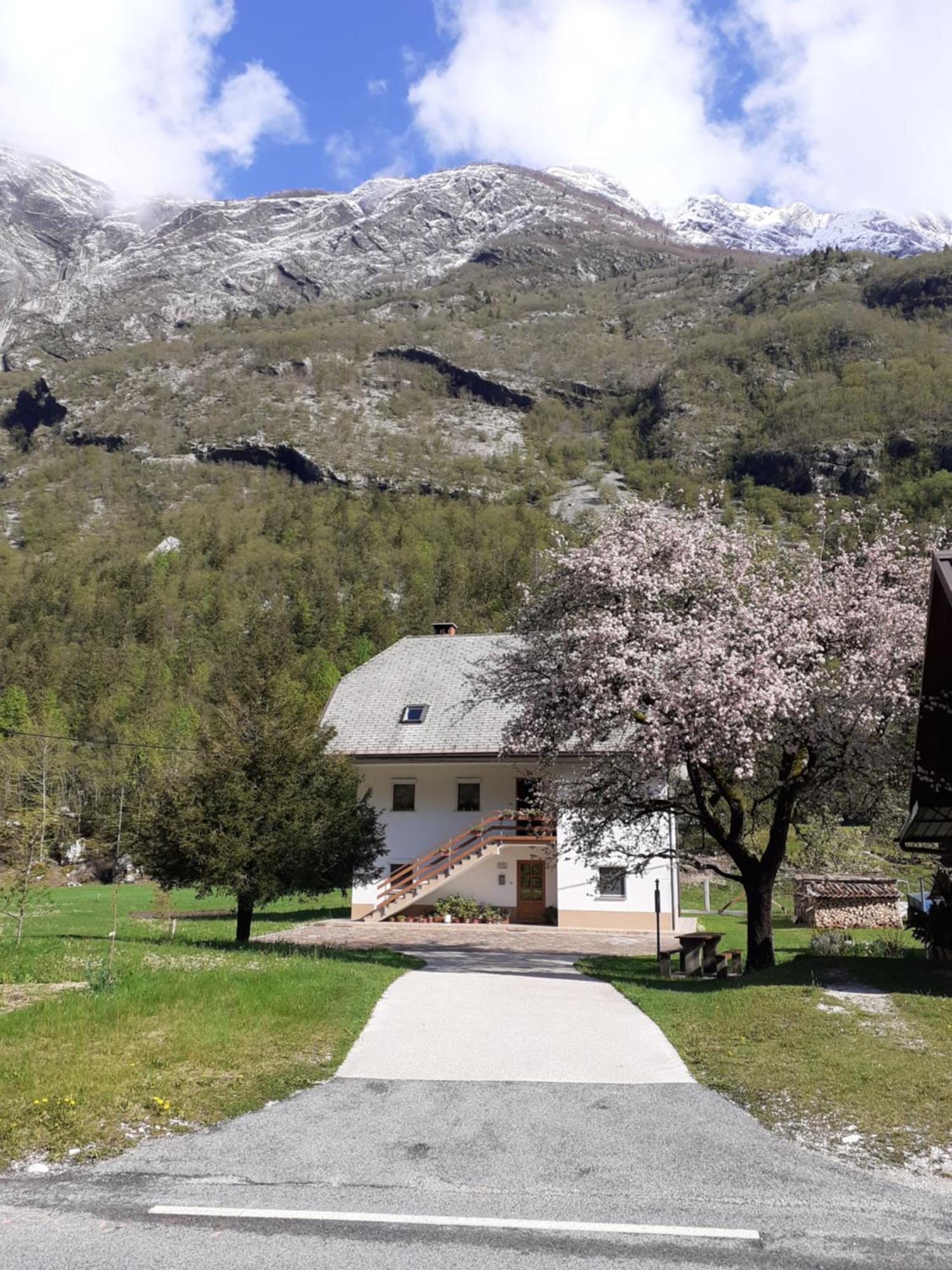 Apartma Pod Rozem Soča Екстериор снимка