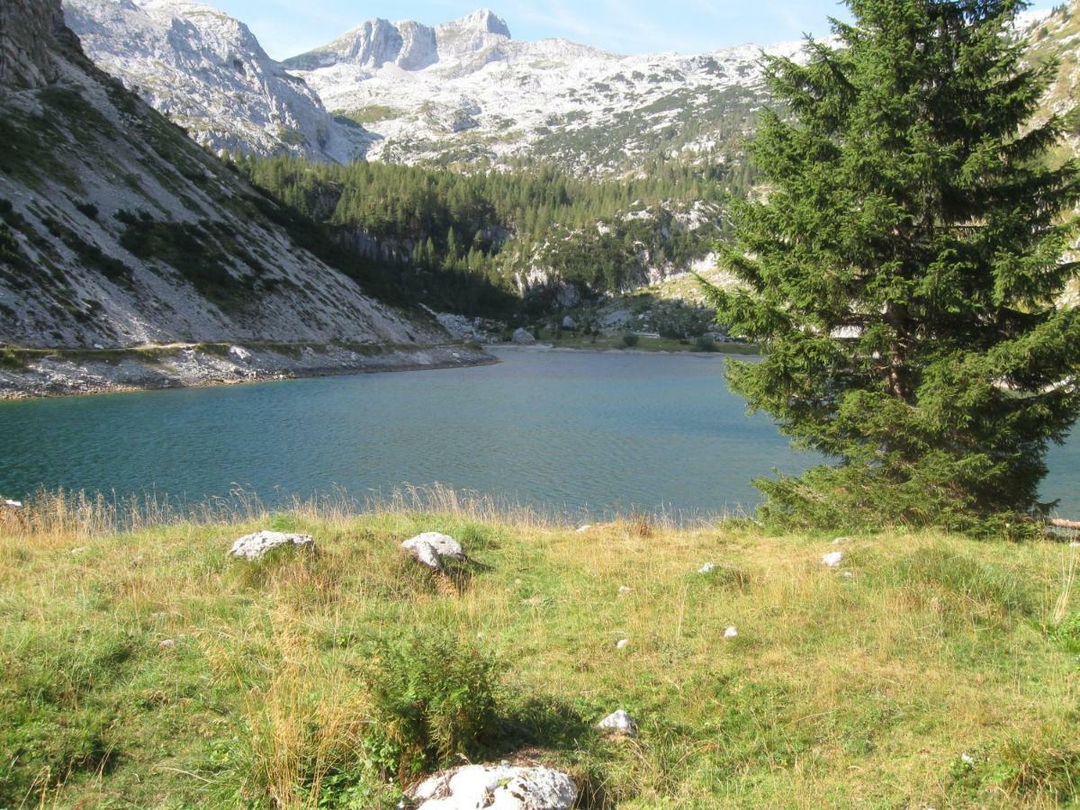 Apartma Pod Rozem Soča Екстериор снимка