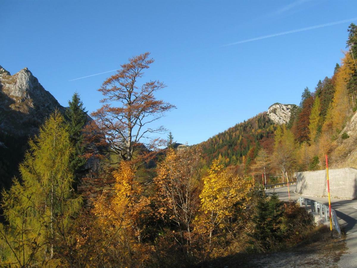 Apartma Pod Rozem Soča Екстериор снимка