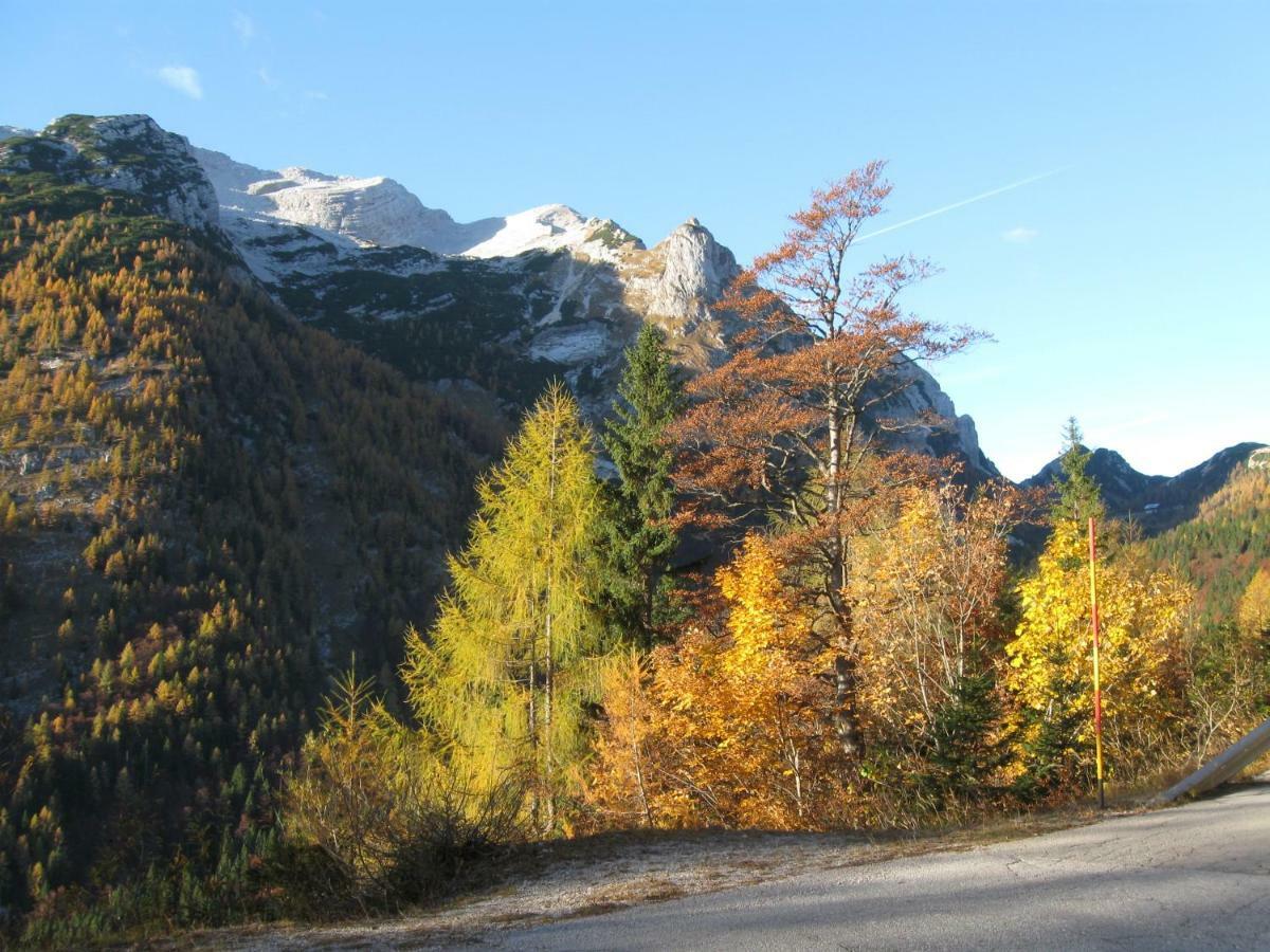 Apartma Pod Rozem Soča Екстериор снимка