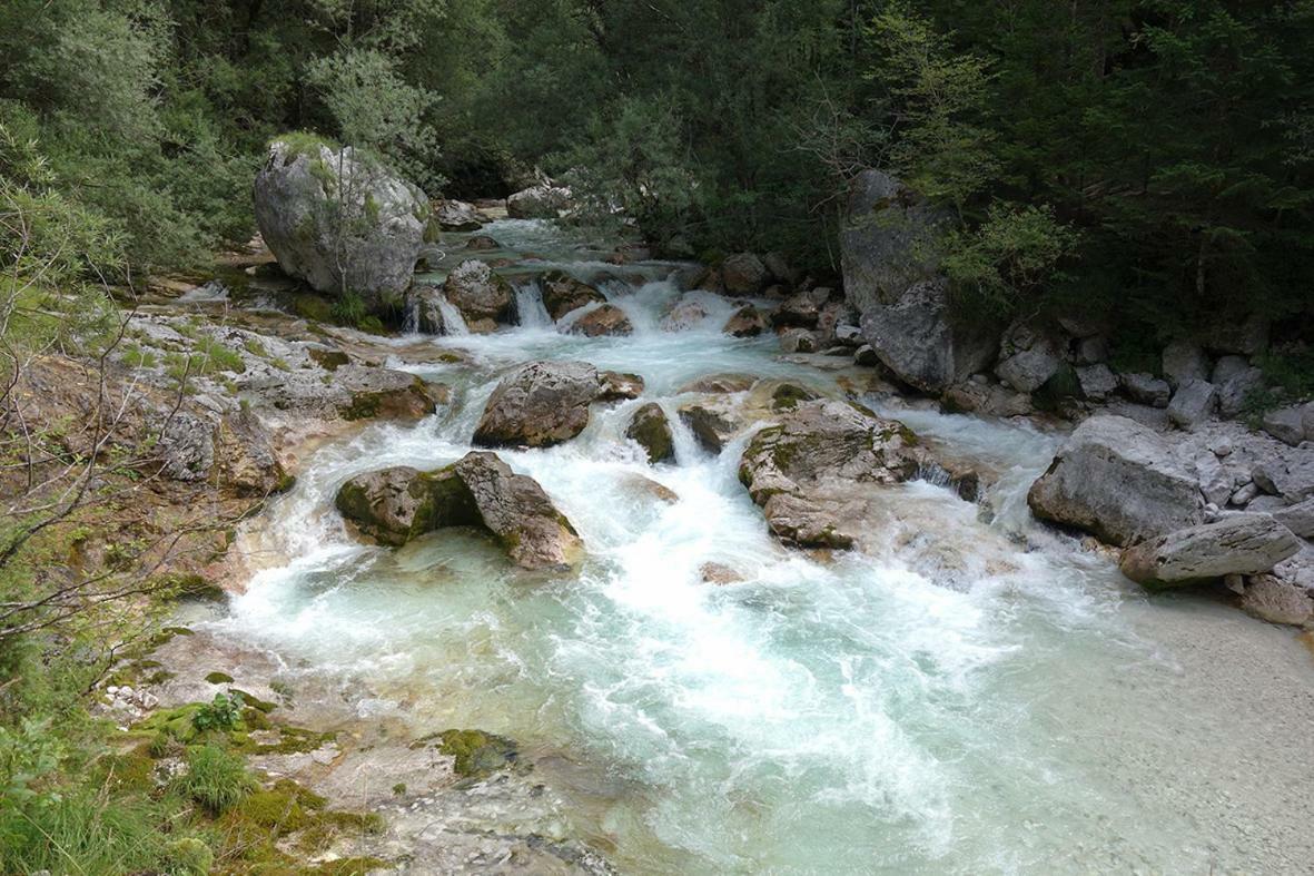 Apartma Pod Rozem Soča Екстериор снимка